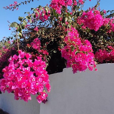 La Casa Del Nonno Bed and Breakfast Milazzo Exterior foto
