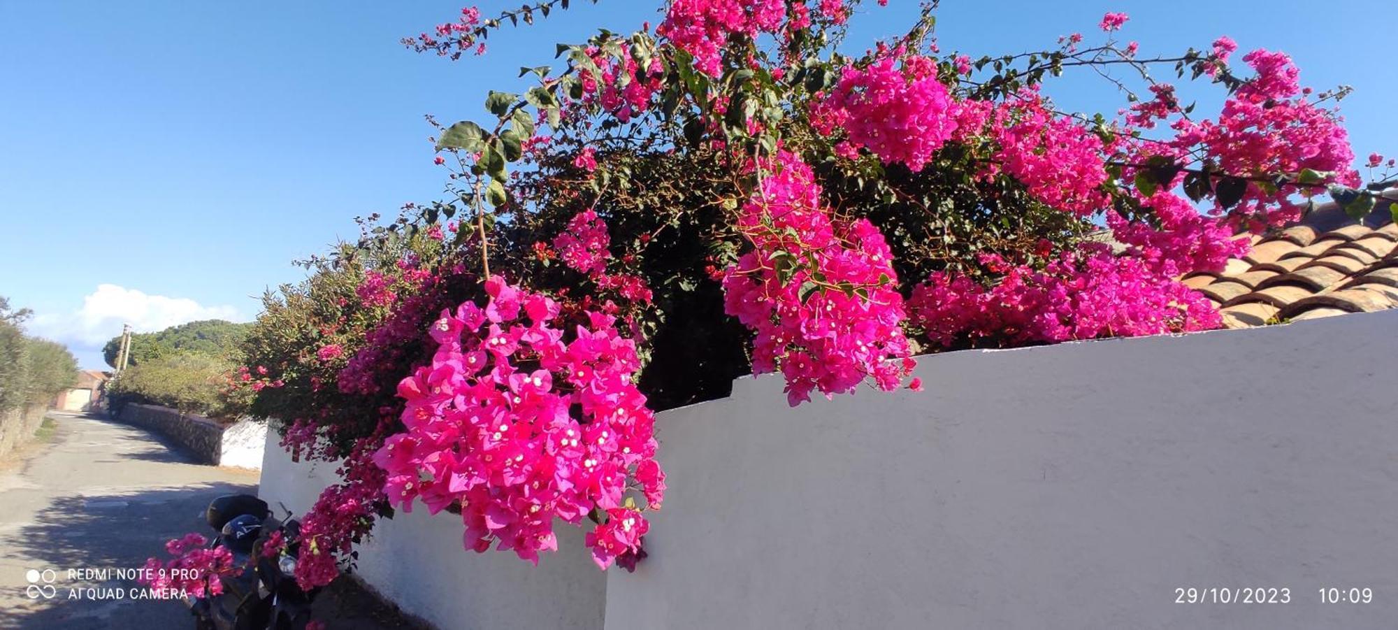 La Casa Del Nonno Bed and Breakfast Milazzo Exterior foto